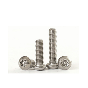 Inside plum – anti-theft screw