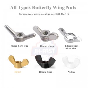 Customized rivet nuts wing nut lifting eye nut dome cap nut