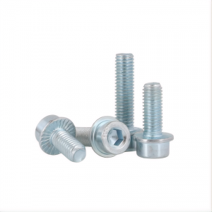 Hexagon socket head flange bolts