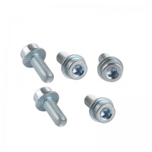 Hexagon socket head flange bolts