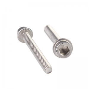 Hexagon socket head flange bolts