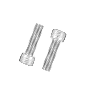 Stainless steel hex socket screws