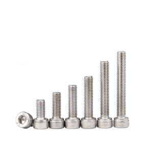 Stainless steel hex socket screws