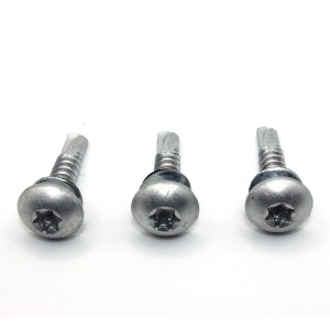 Round head drill screw with plum blossom