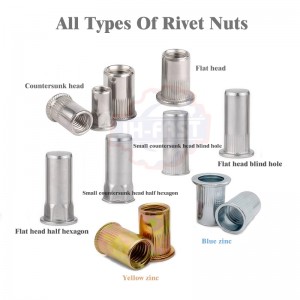 Customized rivet nuts wing nut lifting eye nut dome cap nut