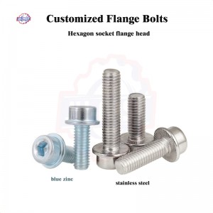 Hexagon socket head flange bolts